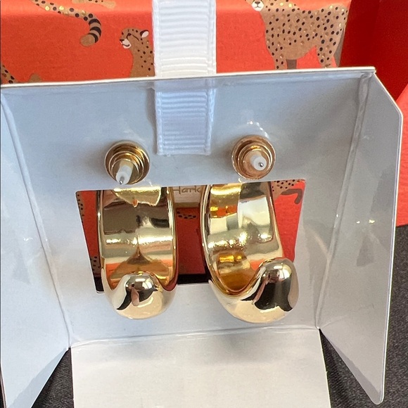 House of Harlow 1960 | Hoop Earrings ✨ - Picture 6 of 7